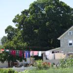 OTRA_2017_CN_0095 (August 24, 2017)